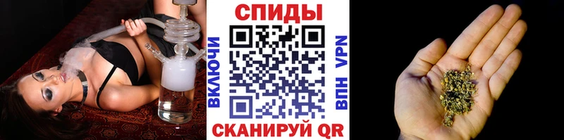 Купить закладки  Петровск  БУТИРАТ BDO 33% 