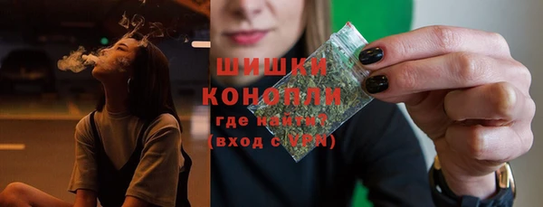 гидра Володарск