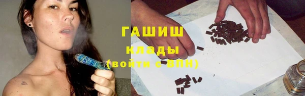 apvp Верея