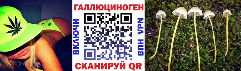 Псилоцибиновые грибы Psilocybine cubensis  Купить закладки  Петровск 